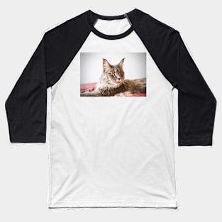 Maine Coon / Swiss Artwork Photography Baseball T-Shirt